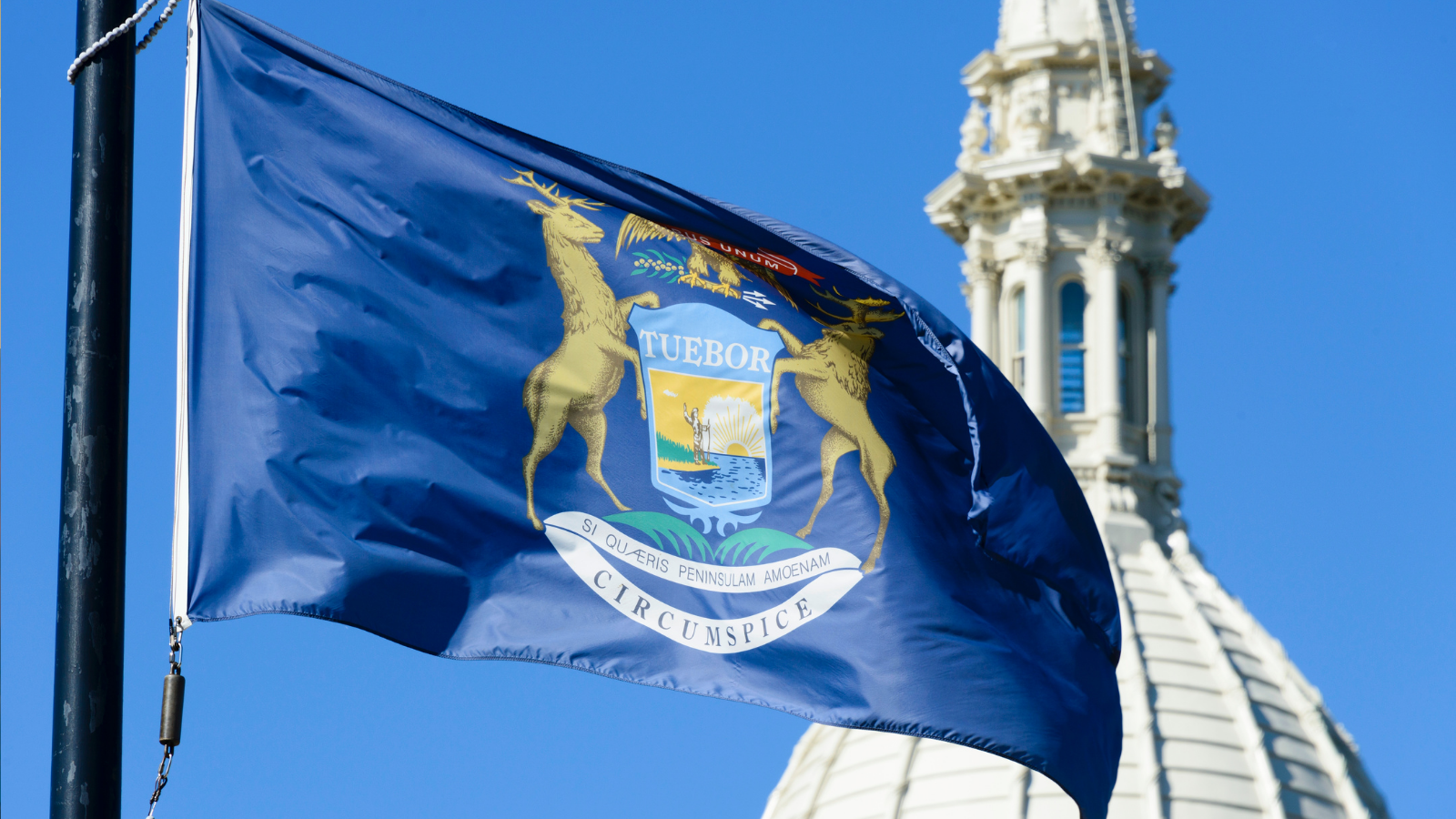 Michigan State Flag