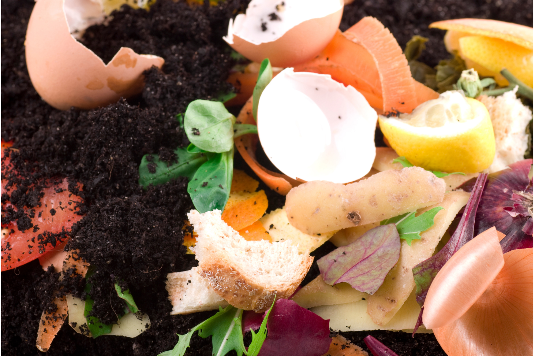 Let's Get Composting in DC