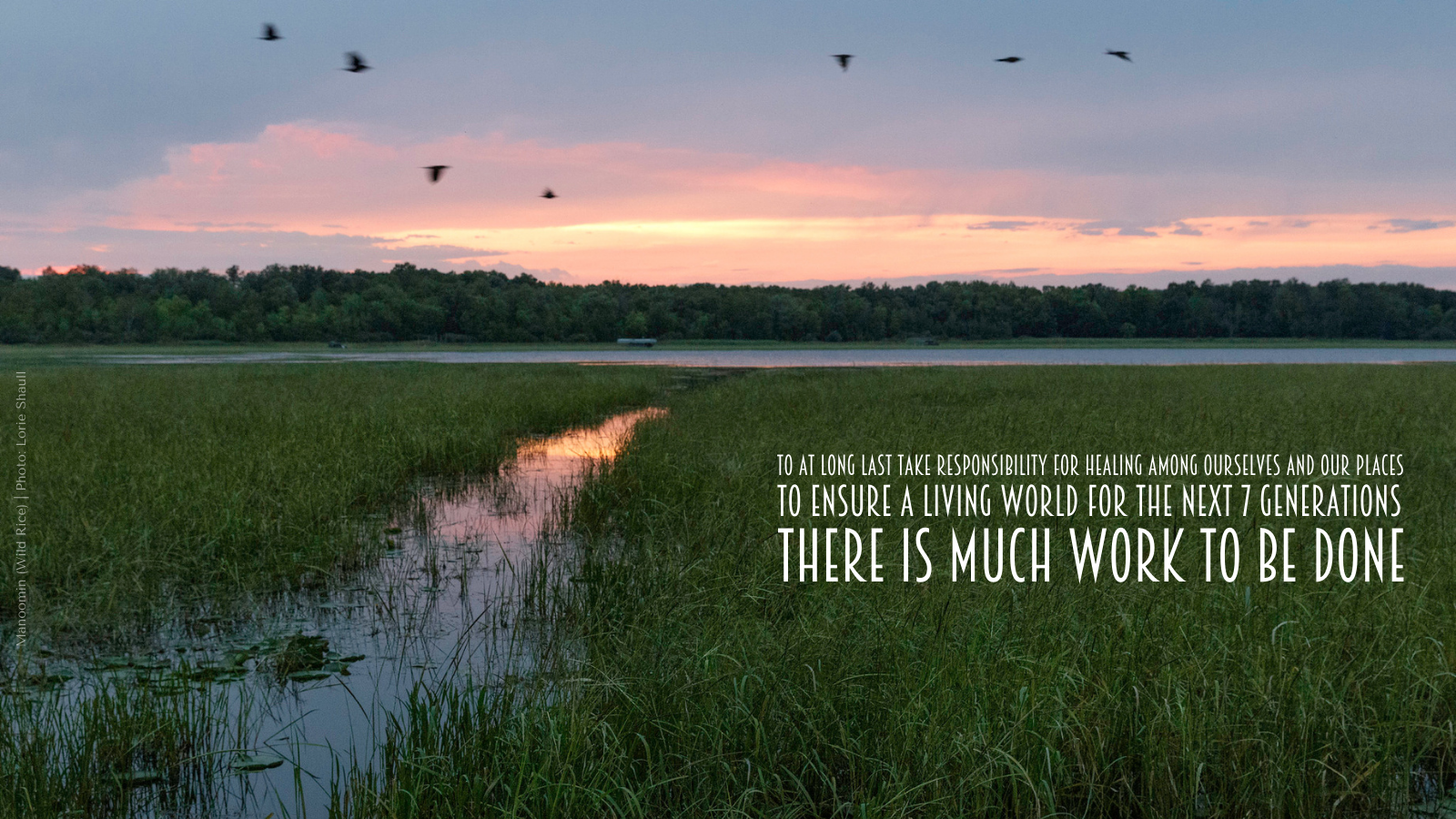 To at long last take responsibility for healing among ourselves and our places to ensure a living world for the next 7 Generations there is much work to be done