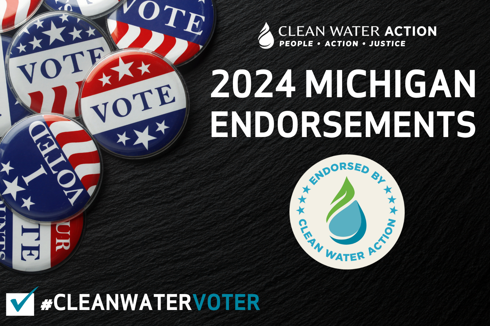 2024 Michigan Endorsements
