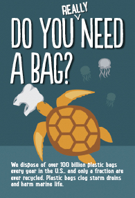 Do you really need a bag? Do you really need a bag?