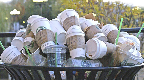 Cups in trash Cups in trash