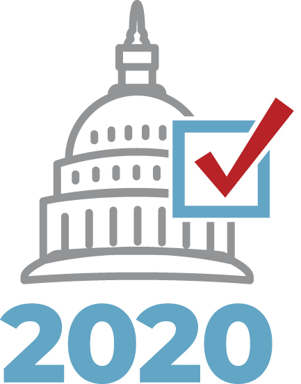 2020 elections graphic 2020 elections graphic