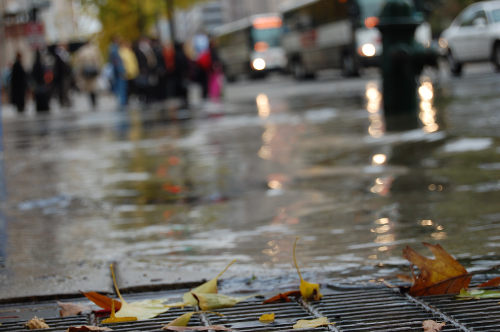 flooded sewer grate / photo: flickr.com/ghost_bear CC BY-NC-ND 2.0 flooded sewer grate / photo: flickr.com/ghost_bear CC BY-NC-ND 2.0