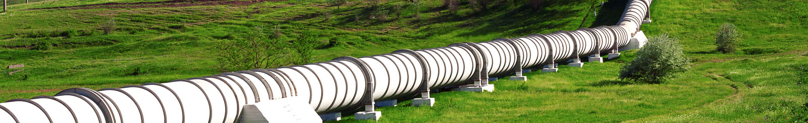 White pipeline, green field White pipeline, green field