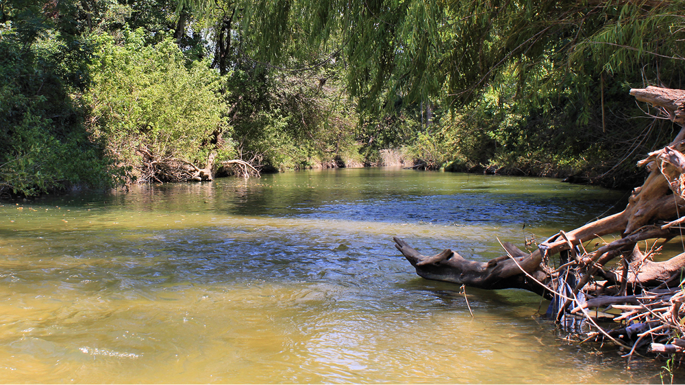 Onion Creek / Photo: Larry D. Moore CC BY-SA 4.0 Onion Creek / Photo: Larry D. Moore CC BY-SA 4.0