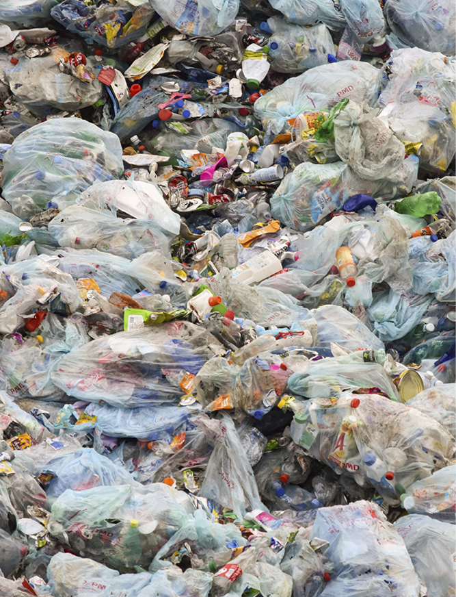 NJ_Plastic_Trash Emily Scott NJ_Plastic_Trash Emily Scott