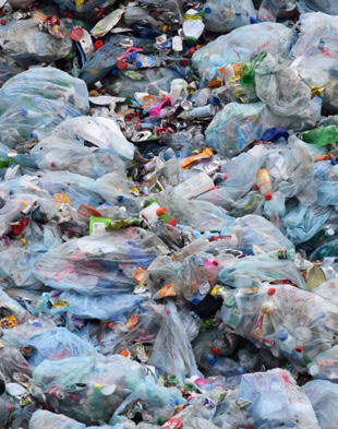 ReThink Disposable_NJ_PlasticBags_Image from NJ Summer newsletter 2018.jpg ReThink Disposable_NJ_PlasticBags_Image from NJ Summer newsletter 2018.jpg