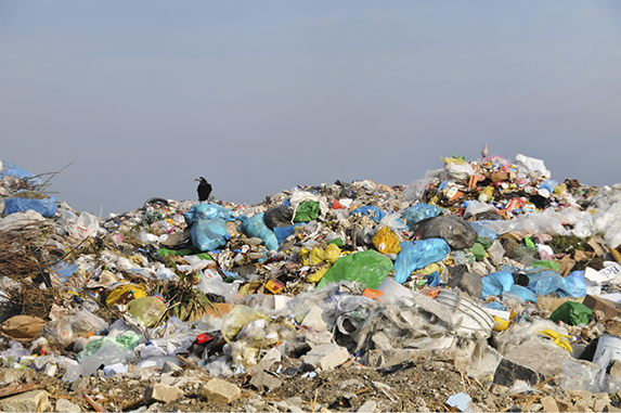 trash at a landfill trash at a landfill