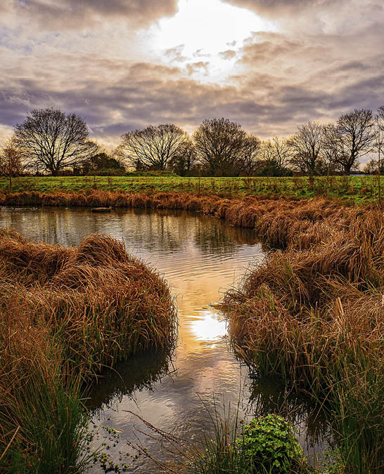 wetlands wetlands