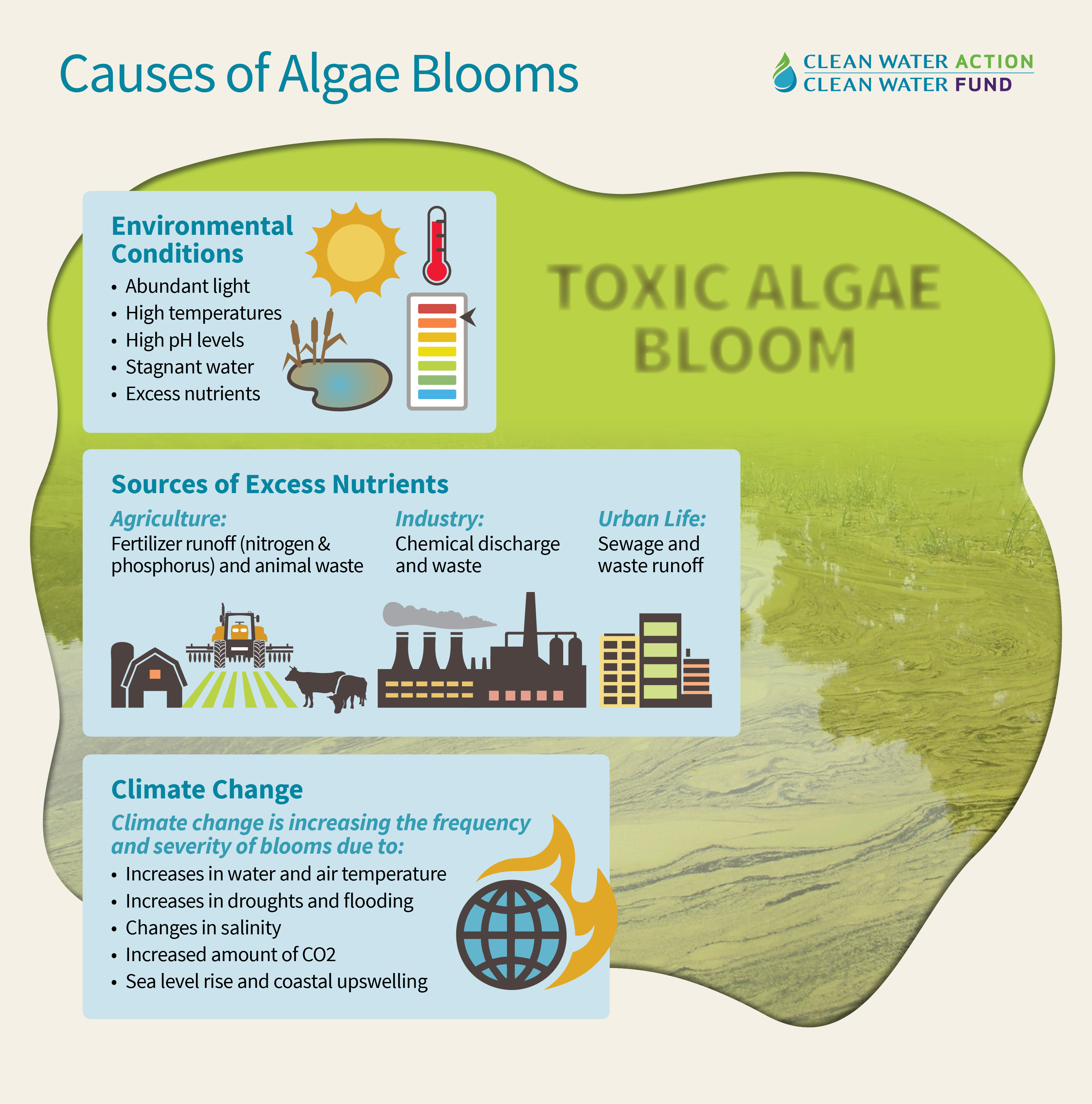 What causes harmful algal blooms - Clean Water Action What causes harmful algal blooms - Clean Water Action