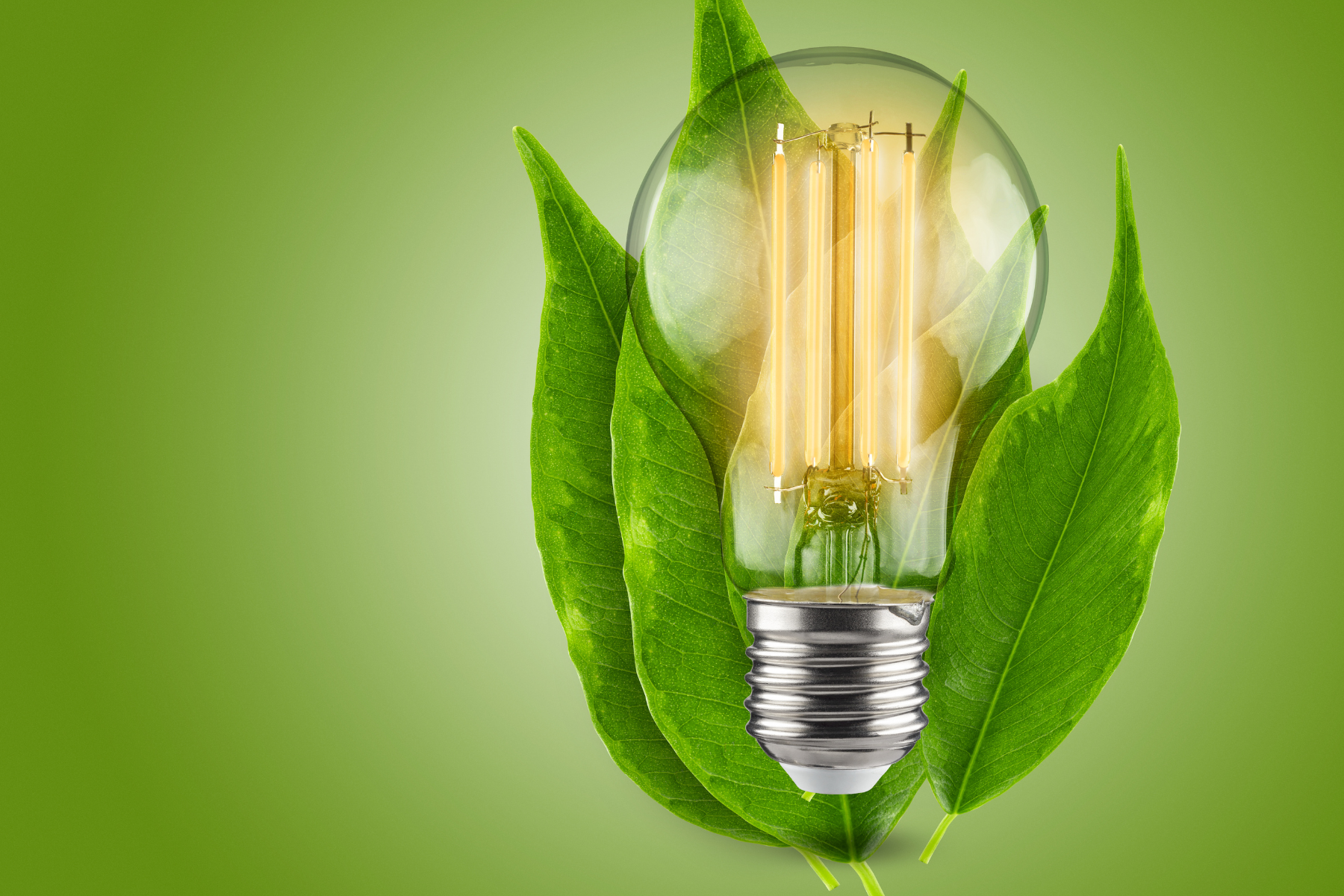 CT-Energy Efficiency Canva CT-Energy Efficiency Canva