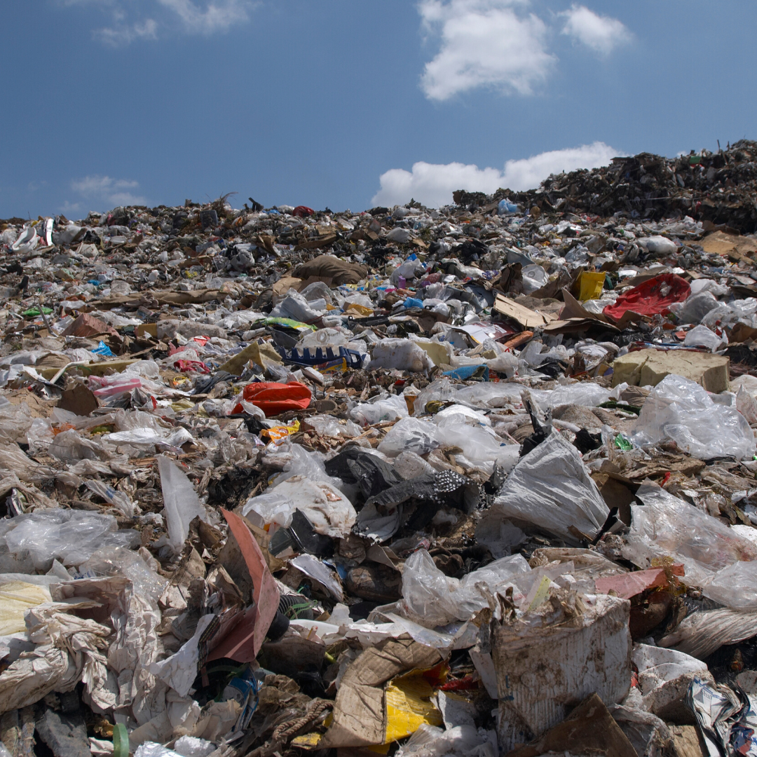 MA_ZeroWaste_Trash_source: Canva MA_ZeroWaste_Trash_source: Canva