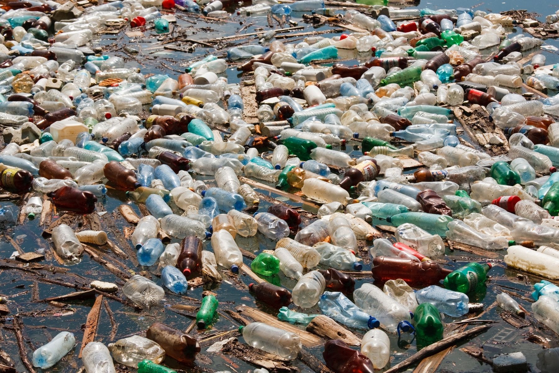 NJ-Plastic Trash-Canva NJ-Plastic Trash-Canva