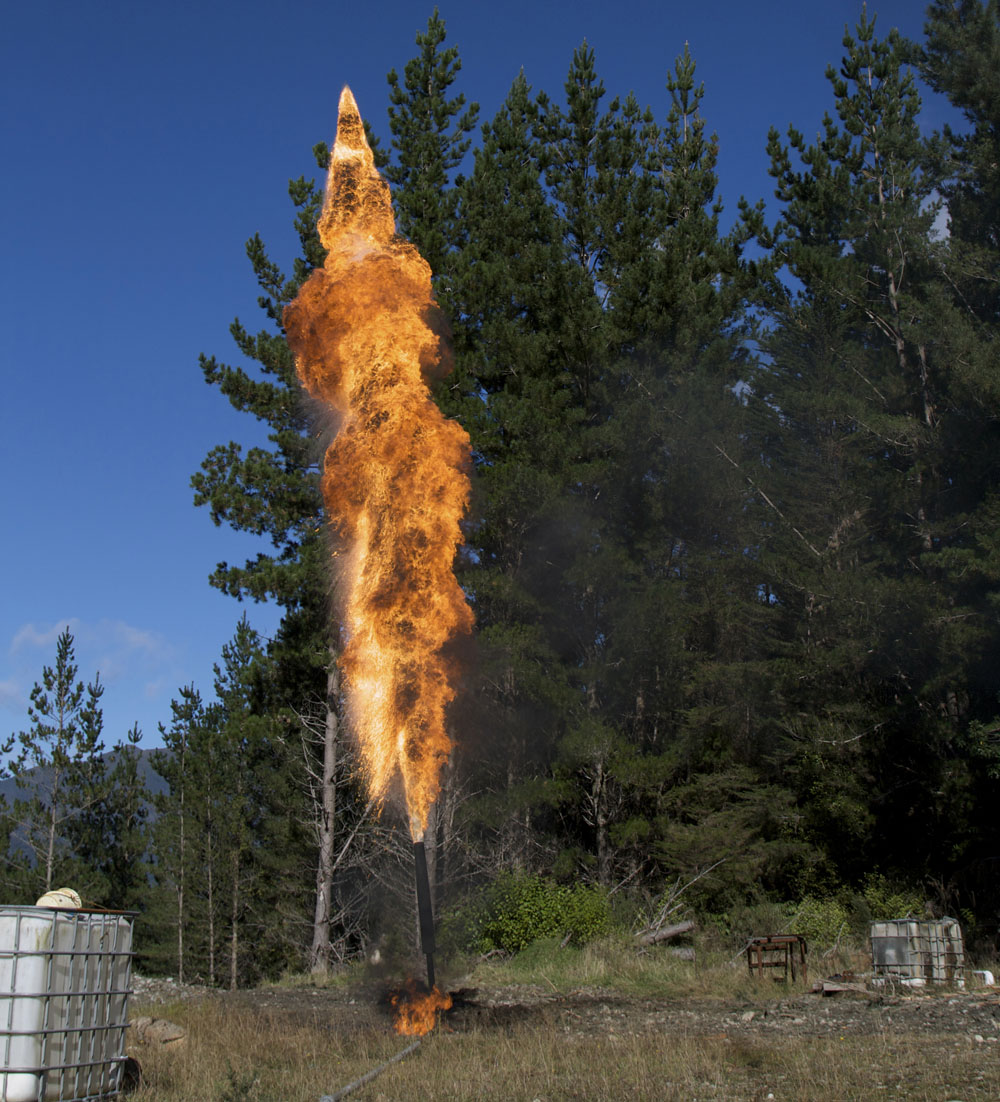 Gas flare near trees. Photo credit: Lakeview Images / Shutterstock Gas flare near trees. Photo credit: Lakeview Images / Shutterstock