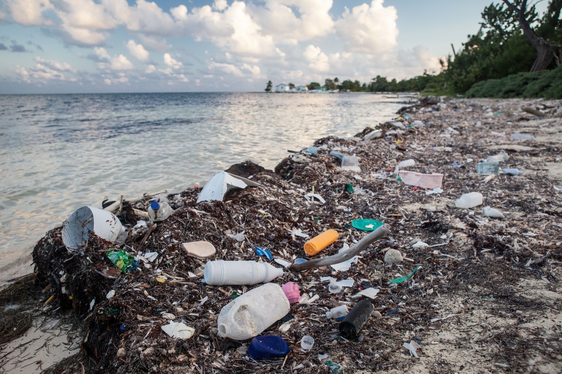 RI_plastic on beach_canva RI_plastic on beach_canva