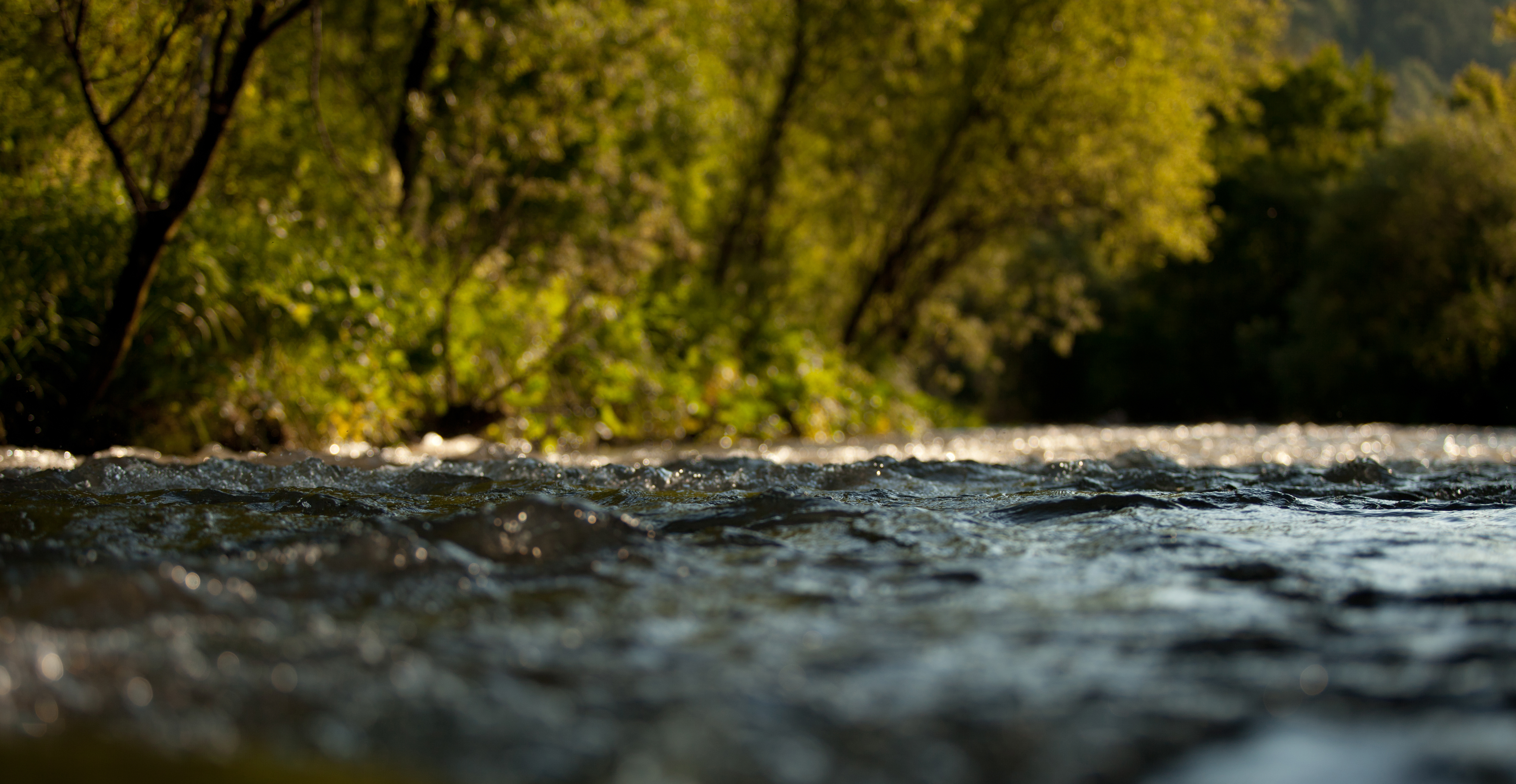 Protect Streams and Wetlands! Photo credit: Olesya Mishkina / Shutterstock Stream, image from the surface of the water. Photo credit: Olesya Mishkina / Shutterstock