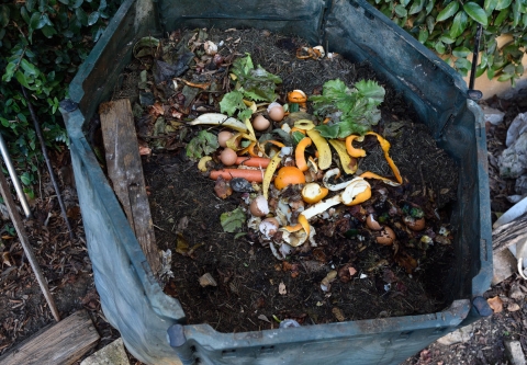 composting-container-istock-curtoicurto.jpg composting-container-istock-curtoicurto.jpg