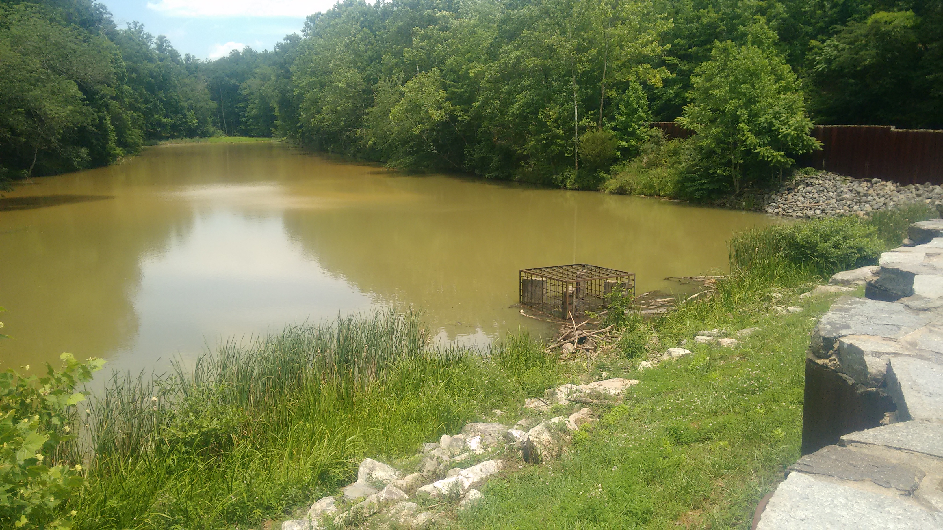 Lake Marian, in the Linganore Creek watershed Lake Marian, in the Linganore Creek watershed