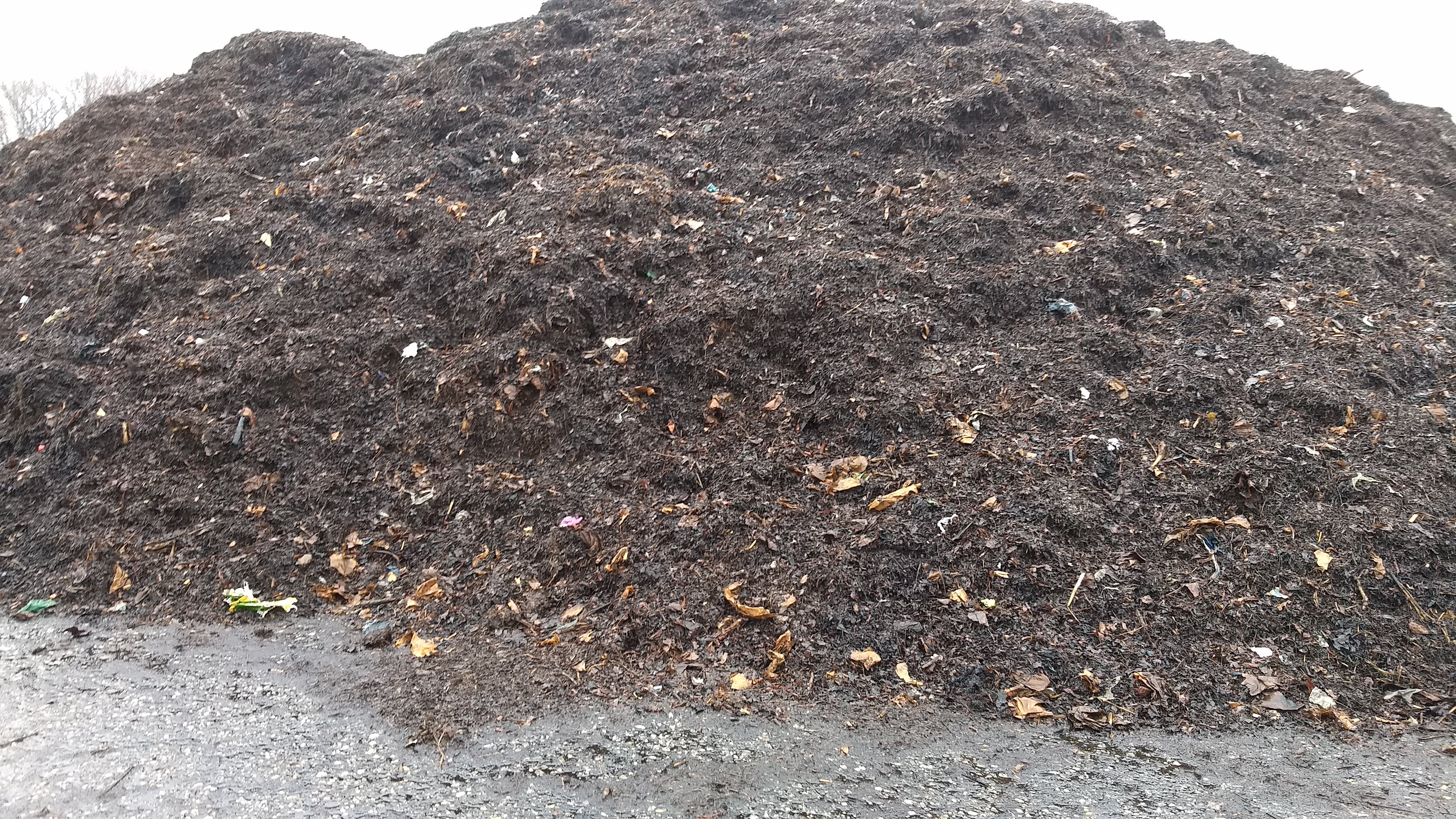 A compost pile at Prince George's County's compost facility. A compost pile at Prince George's County's compost facility.