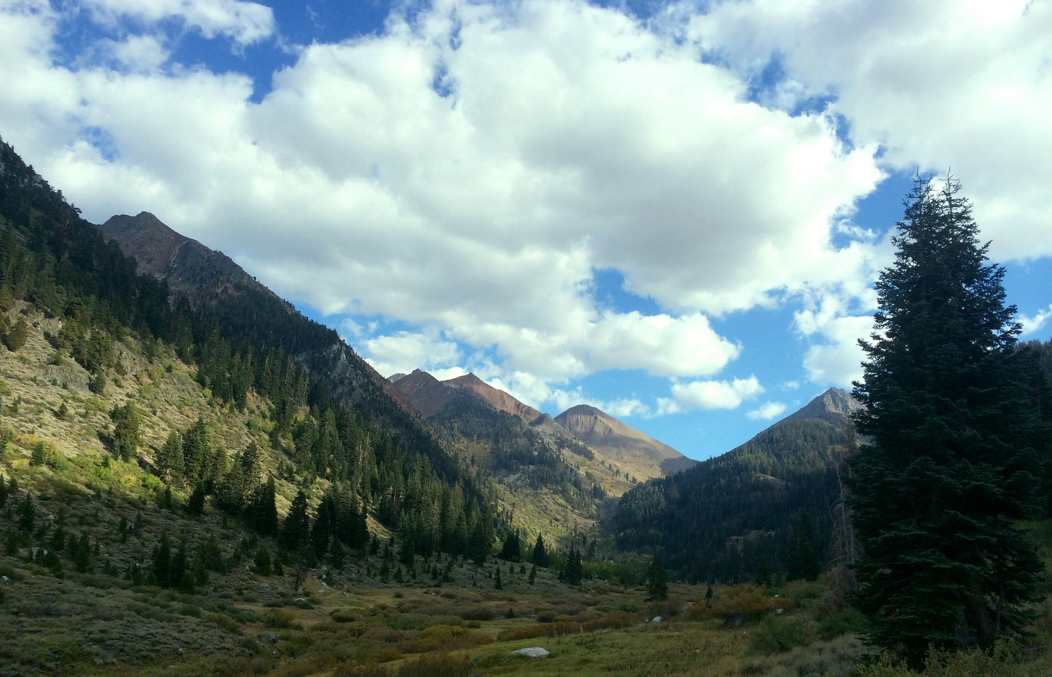 Mineral King Valley / photo: kylwalsh on flickr.com cc Mineral King Valley / photo: kylwalsh on flickr.com cc