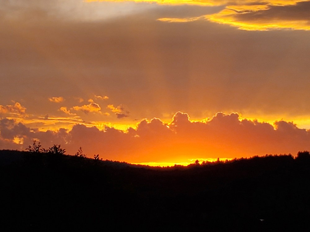 Summer Sunset Summer Sunset