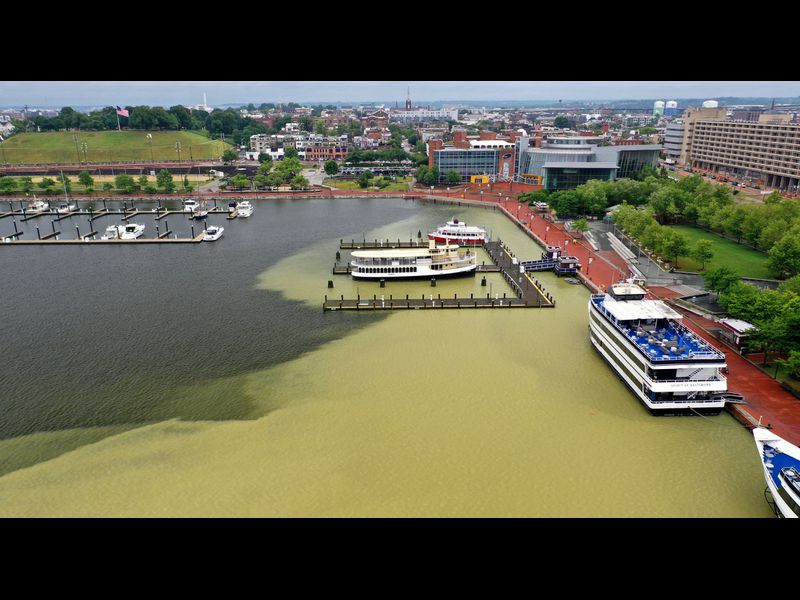 Sediment plume in Baltimore's Inner Harbor. Photo credit: Baltimore Sun. Sediment plume in Baltimore's Inner Harbor. Photo credit: Baltimore Sun.