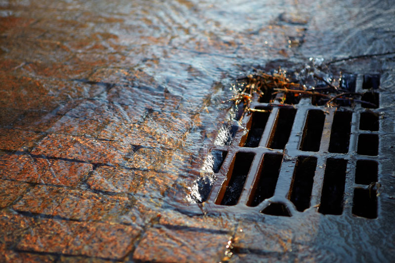 Street drain, stormwater runoff. Photo credit: Abramov Timur / Shutterstock Street drain, stormwater runoff. Photo credit: Abramov Timur / Shutterstock