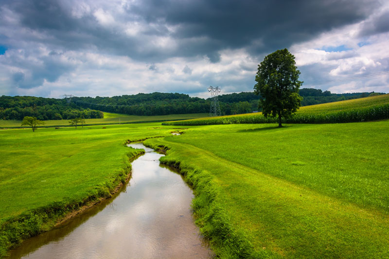 Stream in a green field - Carroll County, MD Stream in a green field - Carroll County, MD