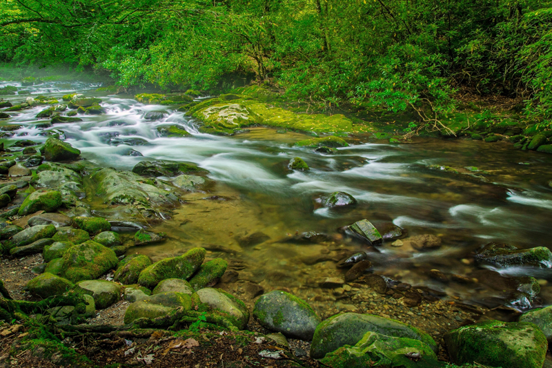 Smoky Mountain stream. Photo credit: ehrlif / Shutterstock Smoky Mountain stream. Photo credit: ehrlif / Shutterstock