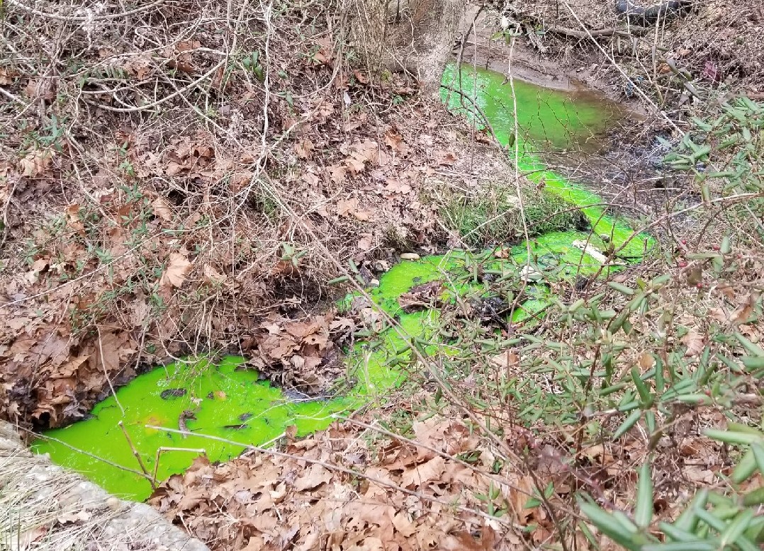 A Dye Test of a Septic System A dye test is used to track the water coming off a septic system. Important information can be determined by a dye test - like how quickly wastewater is flowing through a system or which system is flowing here.