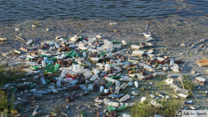 NJ_RethinkDisposable_PlasticWaste_AdobeStock Photo NJ_RethinkDisposable_PlasticWaste_AdobeStock Photo