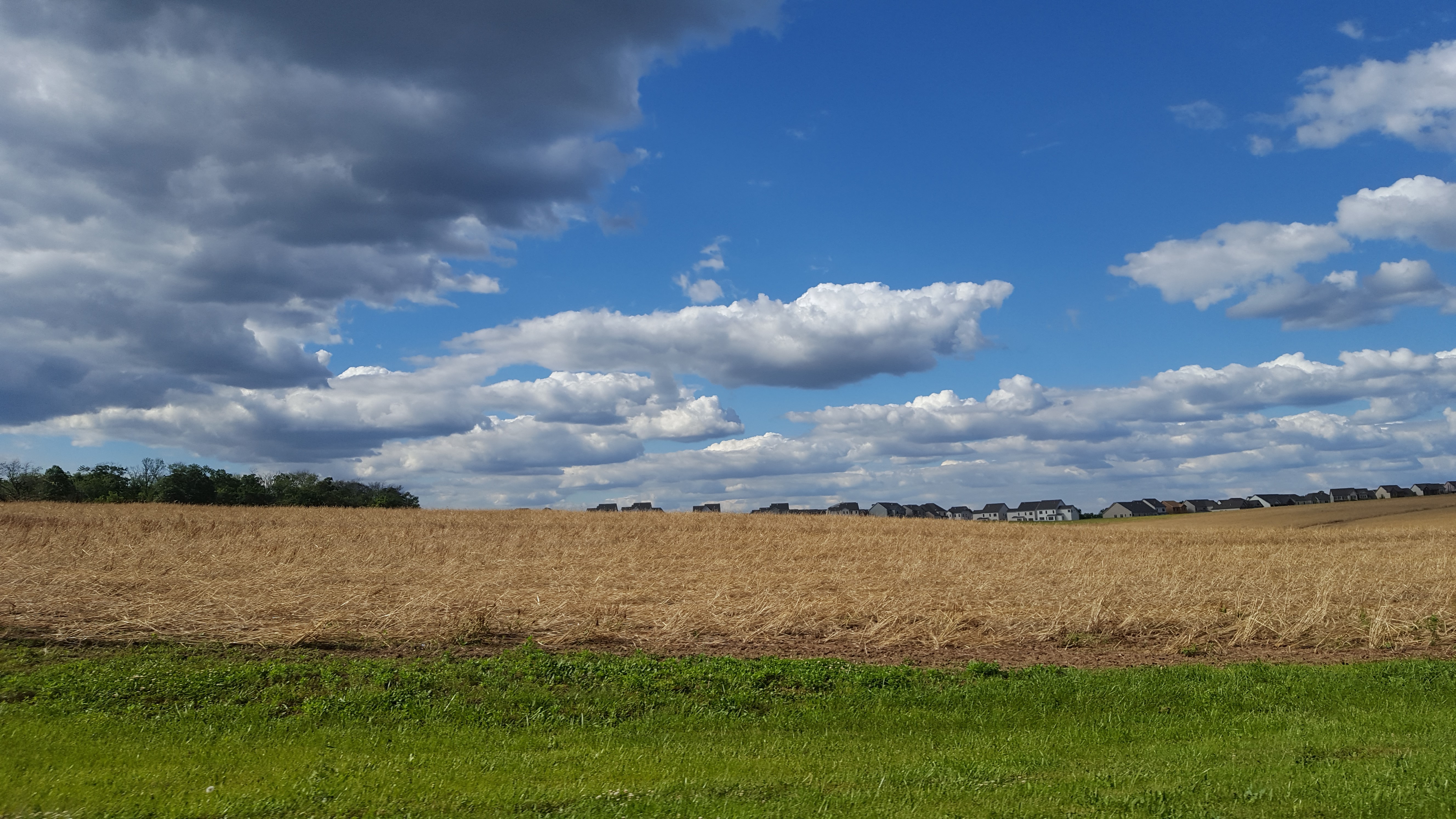 Sprawl Development A new development peeks from behind farm fields