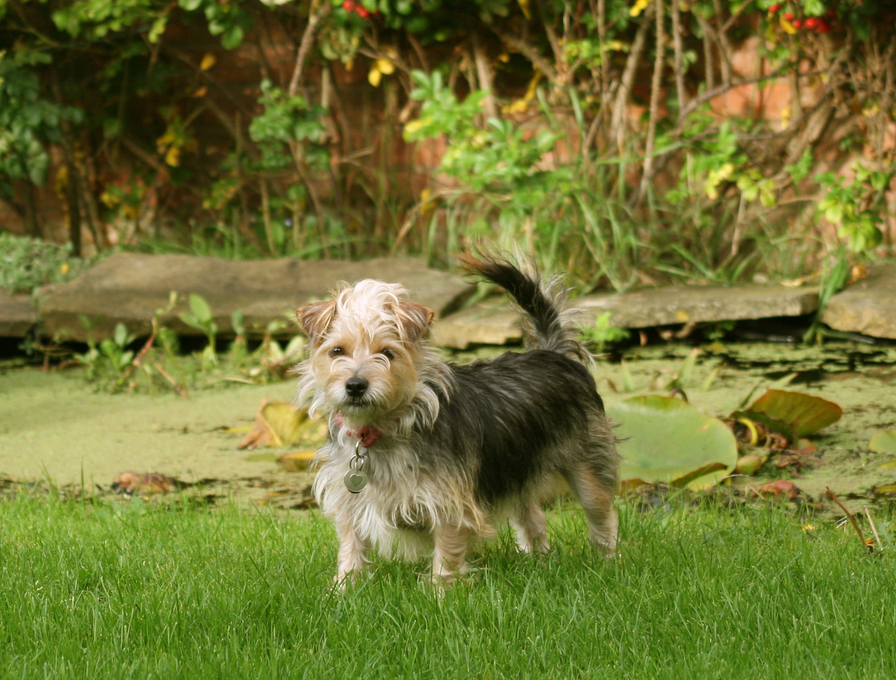 Photo: Beverly Lloyd-Roberts, freeimages.com Photo: Beverly Lloyd-Roberts, freeimages.com