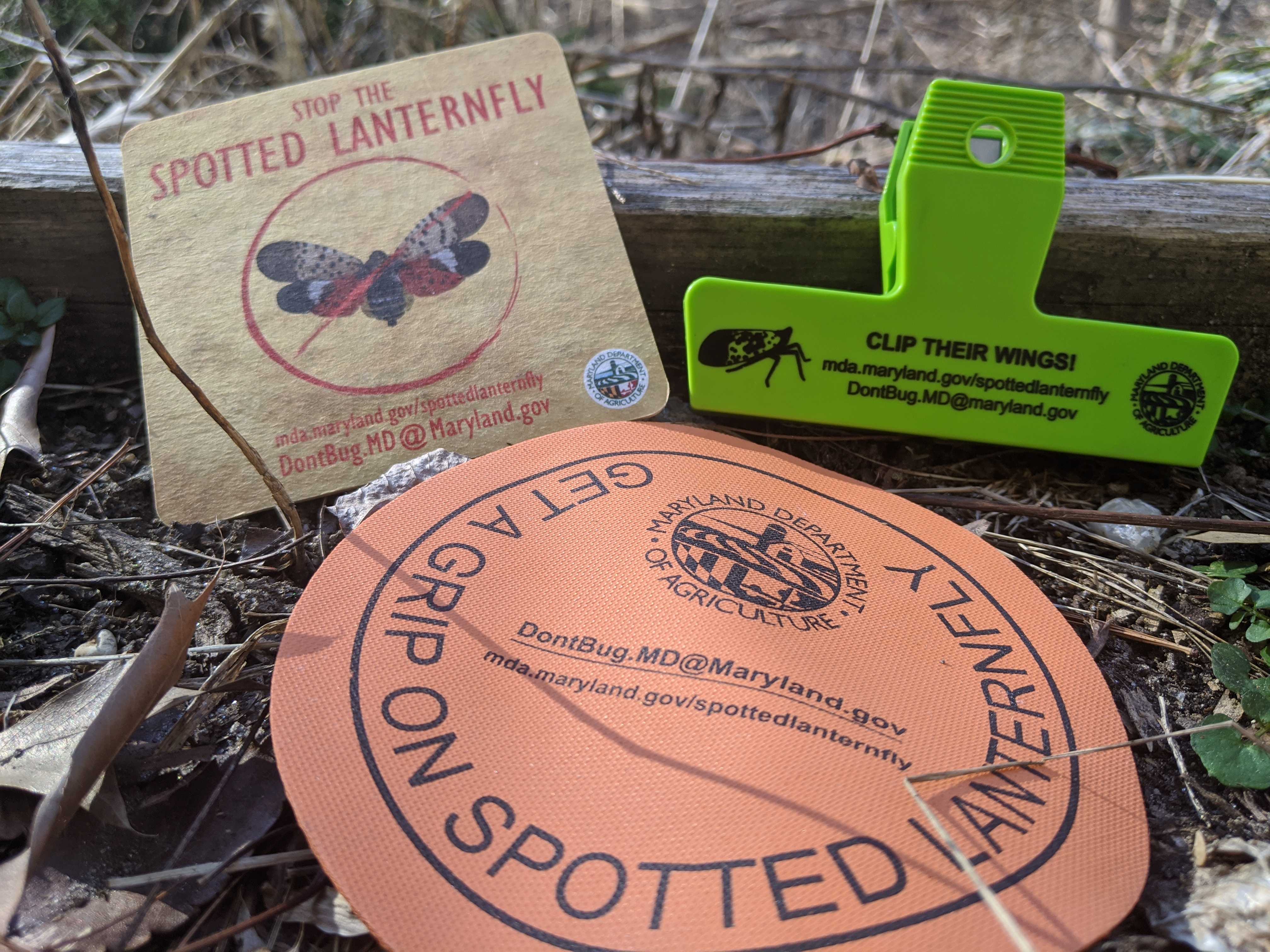 In 2019, MDA dropped off spotted lanternfly swag as opponents to the chlorpyrifos bill testified that it was needed to control its spread.