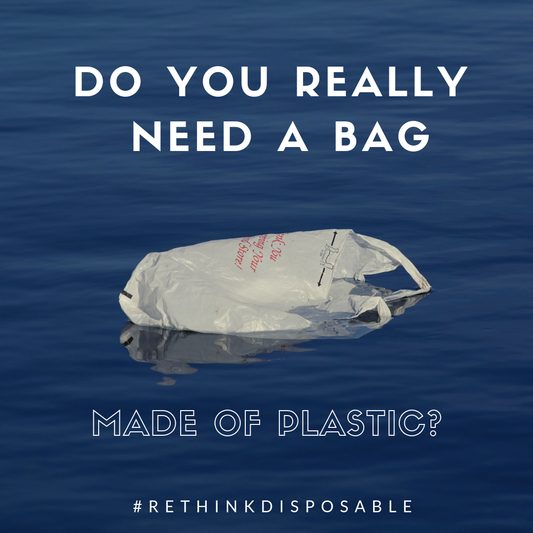 NJ_RethinkDisposable_plastic bag_do you need a bag_canva NJ_RethinkDisposable_plastic bag_do you need a bag_canva