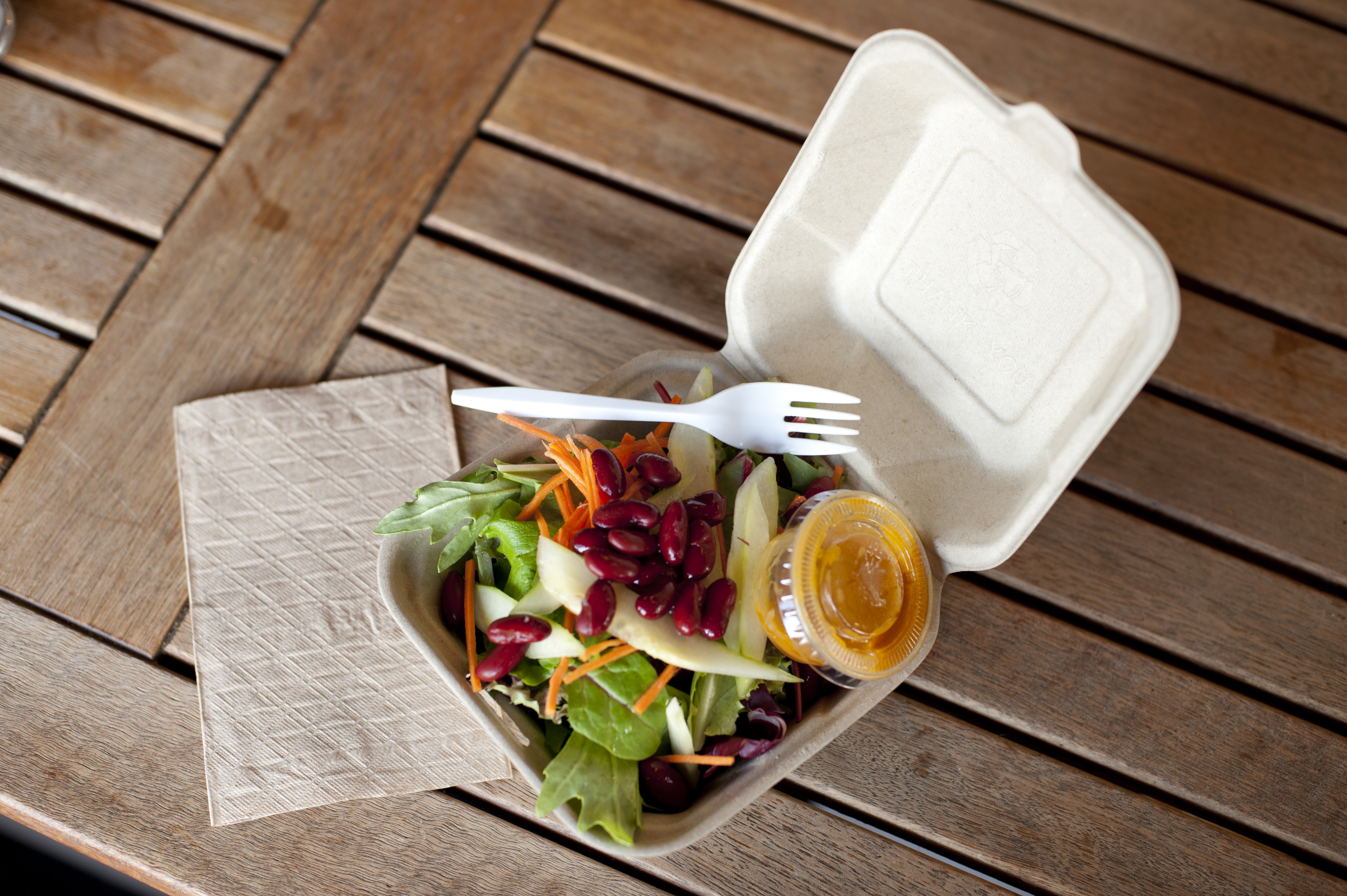 lunch in a disposable container lunch in a disposable container