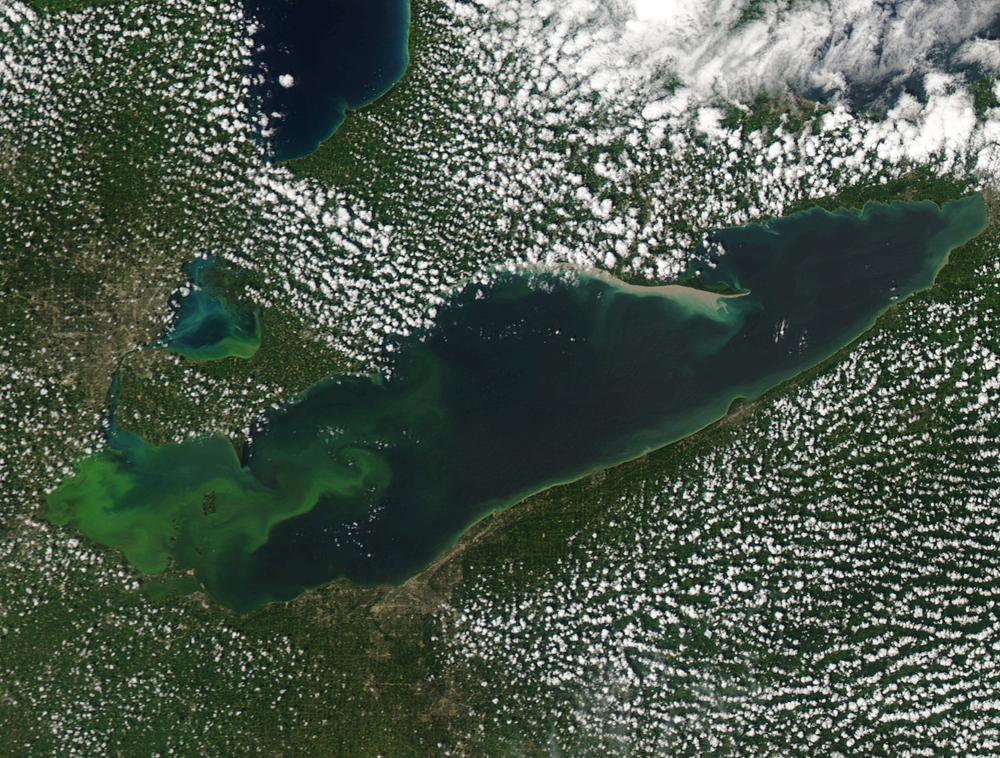 Lake Erie Algal Bloom - August 2015. Photo Credit: NOAA Great Lakes CoastWatch Lake Erie Algal Bloom - August 2015. Photo Credit: NOAA Great Lakes CoastWatch