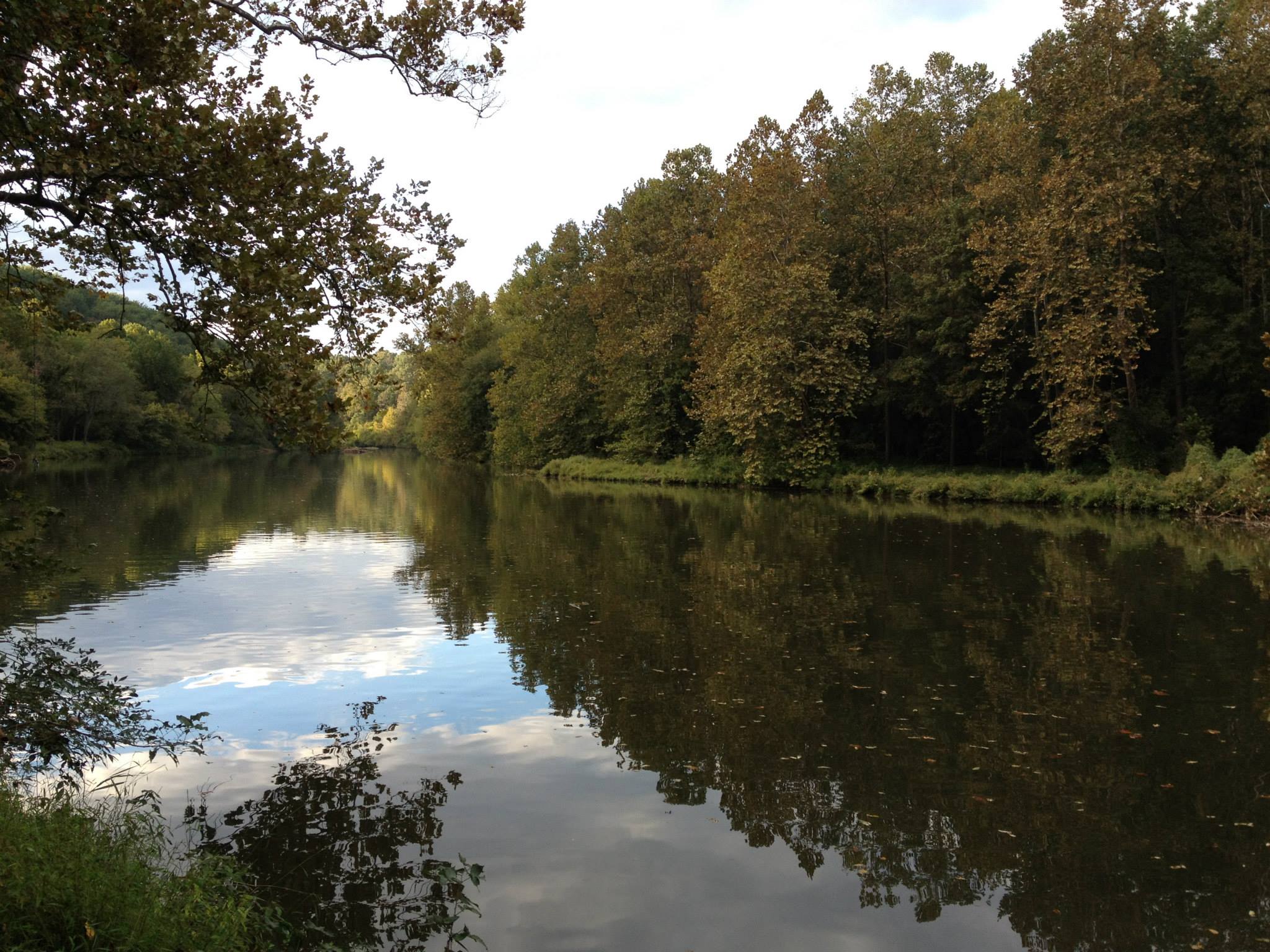 Patapsco River during late summer