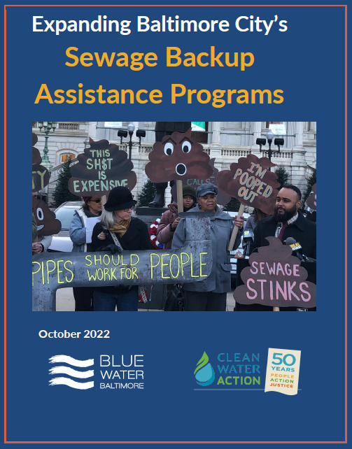 Screenshot of the title page of the report