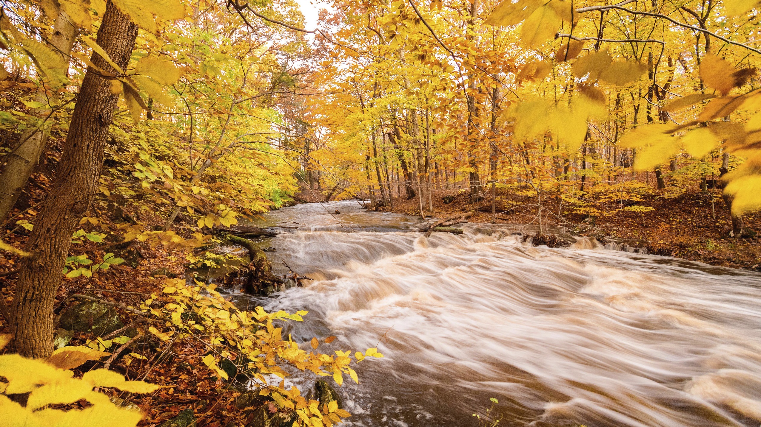 Fall stream Fall stream