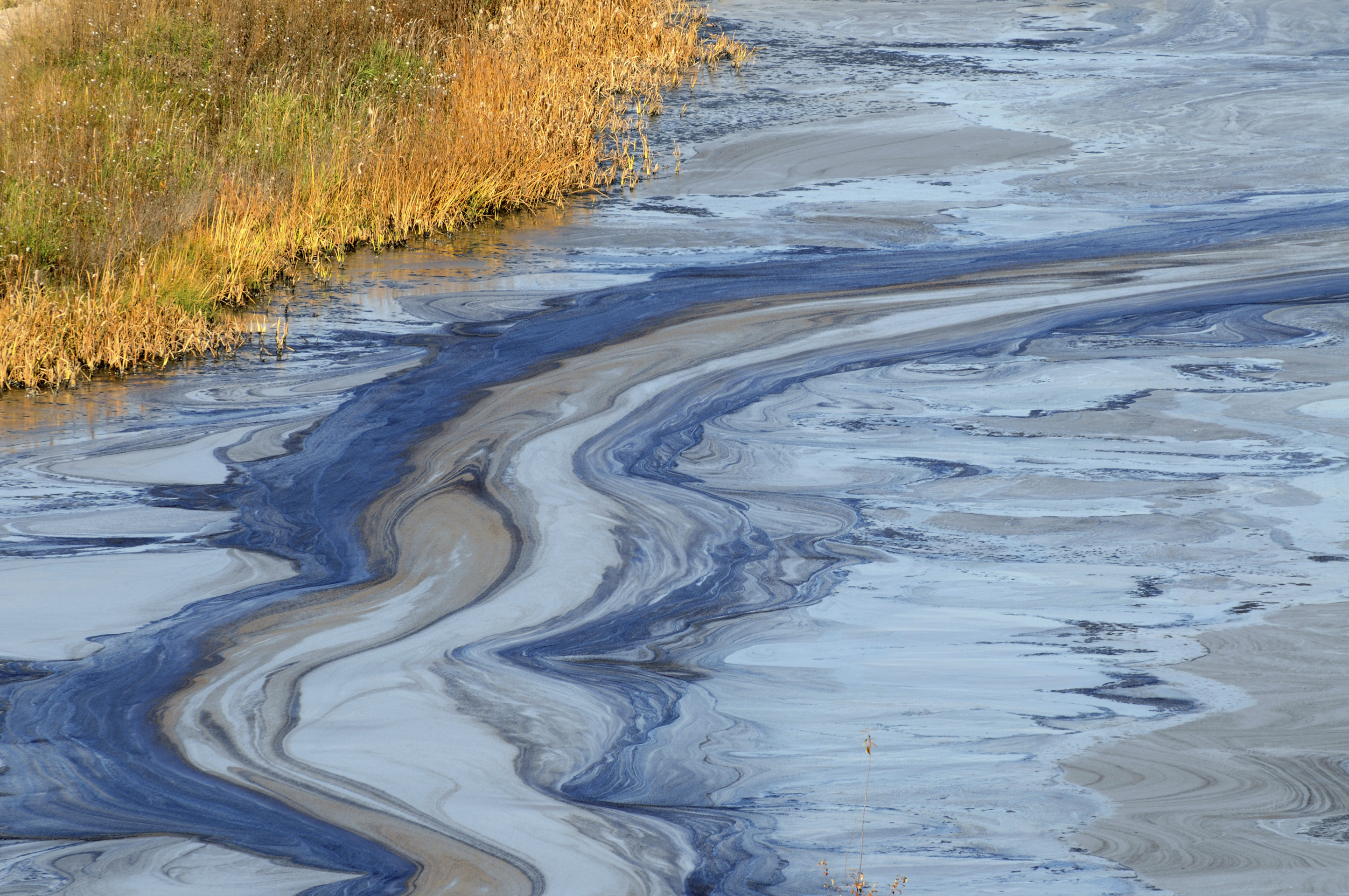Oil slick on water