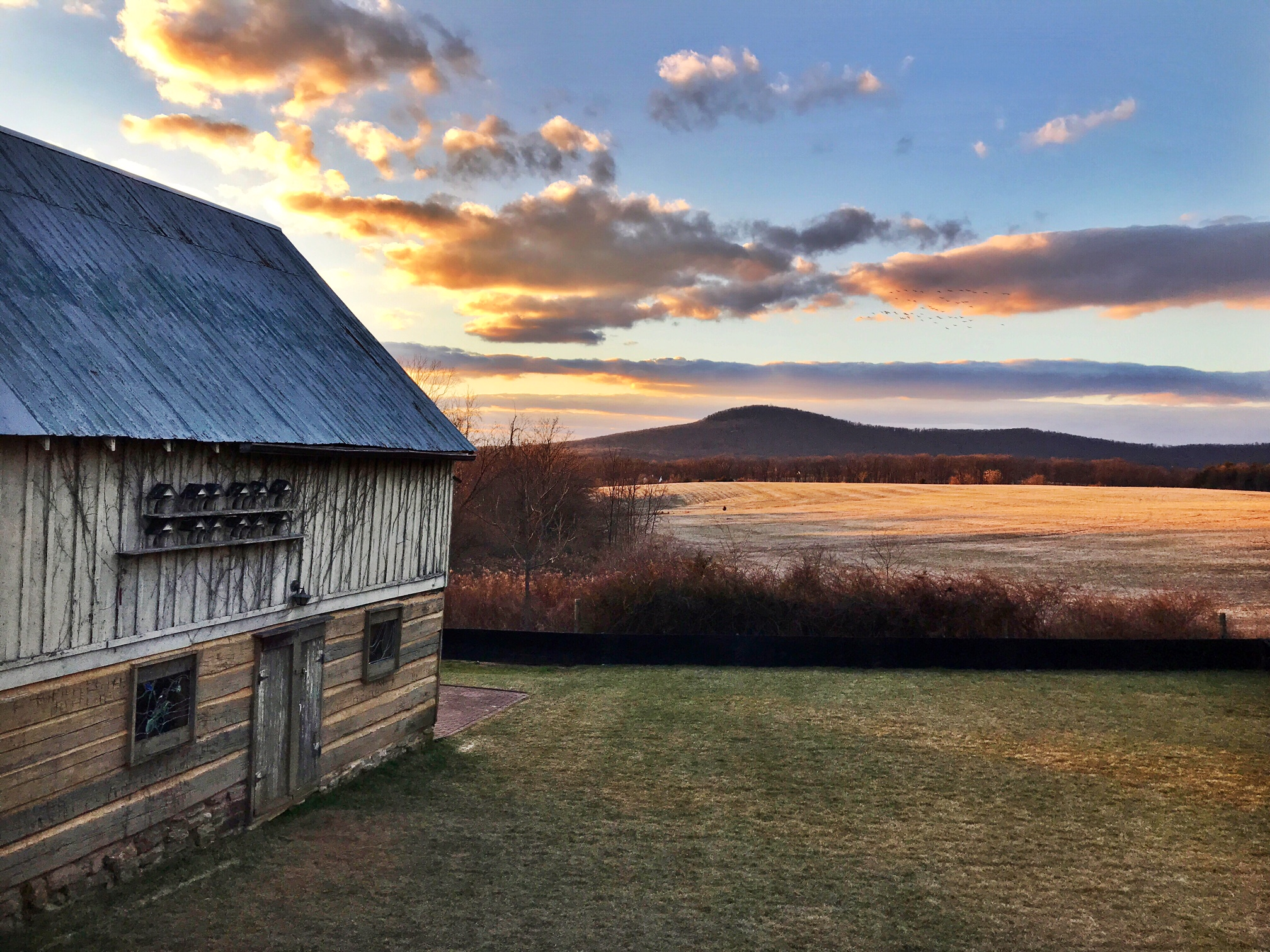 Photo credit: Dalis Davidson of Dancing Leaf Farm Photo credit: Dalis Davidson of Dancing Leaf Farm