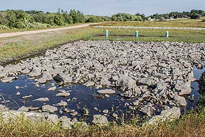 riparian buffer at kempenaar_green infrastructure_rhode island_Photo by Jessica Pohl riparian buffer at kempenaar_green infrastructure_rhode island_Photo by Jessica Pohl