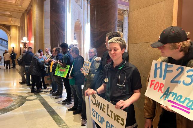 Rally in support of Amara's Law