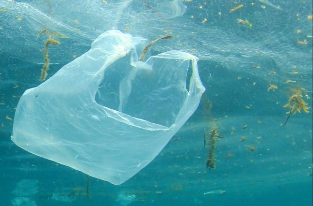 Plastic pollution in water, including plastic bag