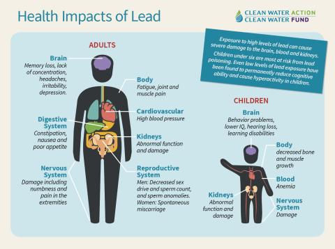 Health Impacts of Lead - graphic Health Impacts of Lead - graphic