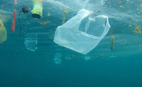 Plastic pollution in water, including plastic bag