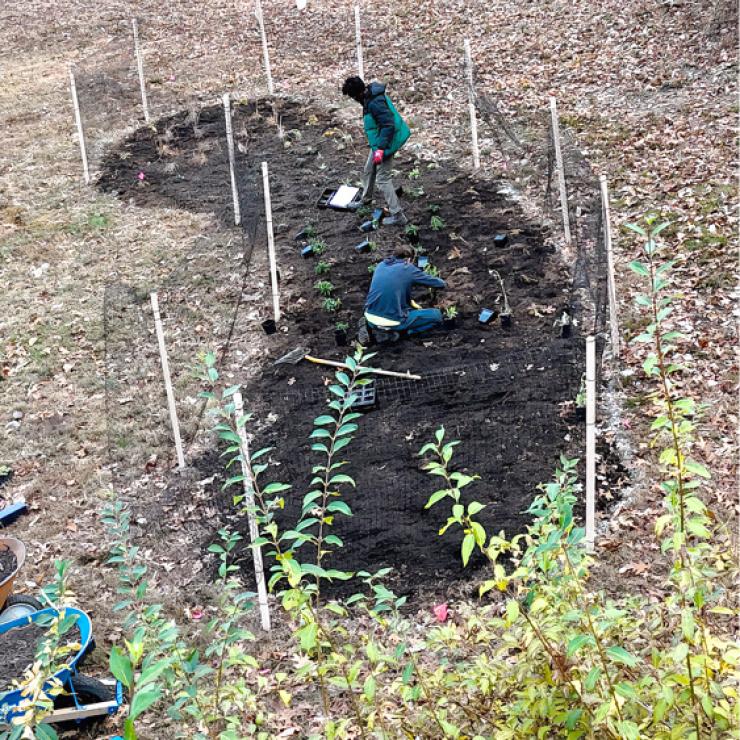 MD Septic Garden