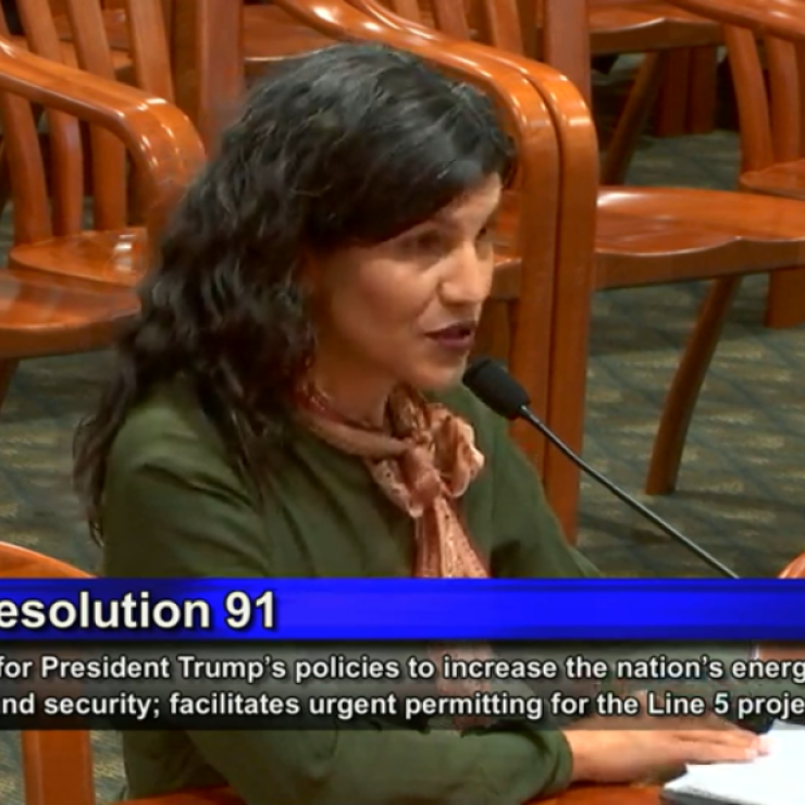 Dr Nichole Keway Biber testifying in MI House Committee